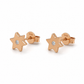 585 Rotgold Ohrstecker Stern mit Zirkonia – 7 mm
