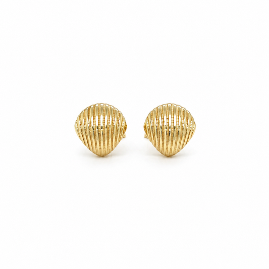 585 Gelbgold Ohrstecker Muschel 8 mm geriffelt