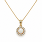 45 cm Kette aus 585 Gelbgold mit rundem Zirkonia Halo-Anhänger in Frontansicht